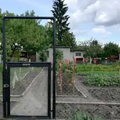 Brama do ogrodu działkowego. Widać grządki z warzywami i drzewa. Ile działek można sprzedać w ciągu roku?