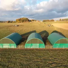 Trzy zielone, łukowate hale namiotowe na działce rolnej, gdzie pasą się krowy. Budowa hali na działce rolnej w malowniczym krajobrazie.