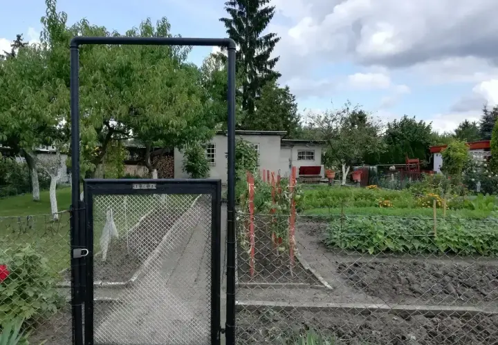 Brama do ogrodu działkowego. Widać grządki z warzywami i drzewa. Ile działek można sprzedać w ciągu roku?