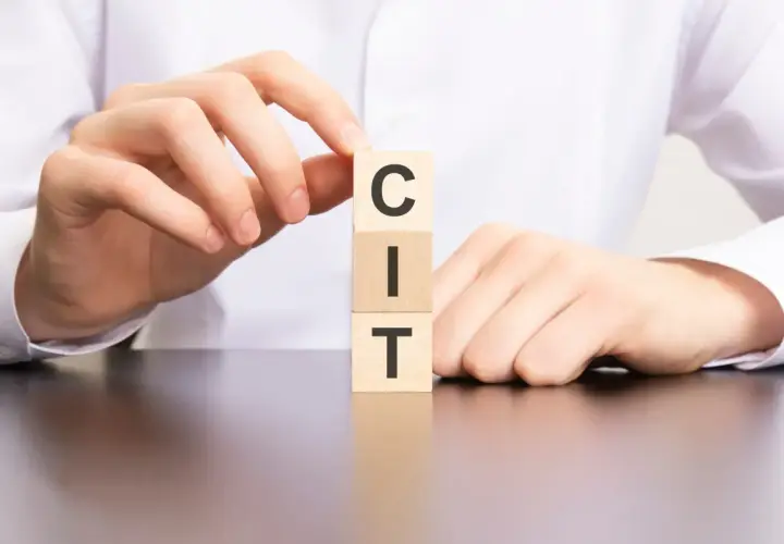 Dłonie układają kostki z literami C, I, T, tworząc słowo "CIT".
