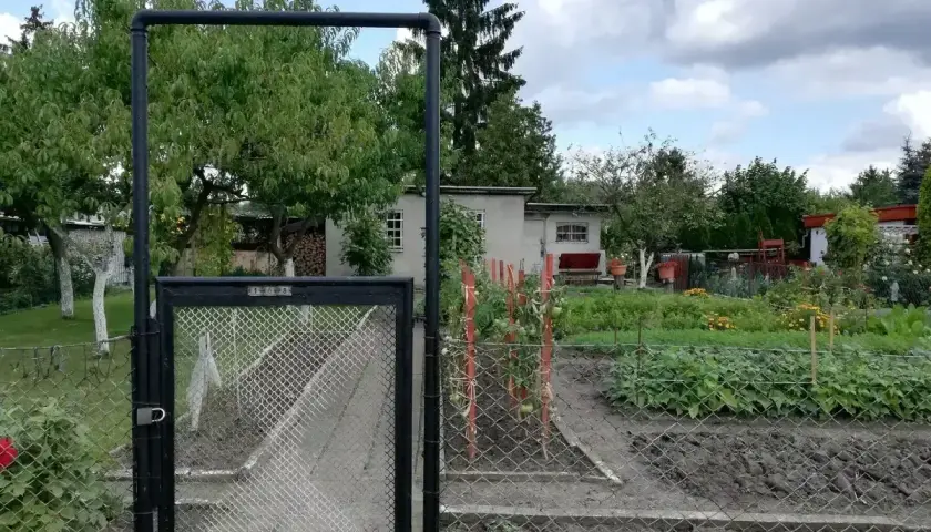 Brama do ogrodu działkowego. Widać grządki z warzywami i drzewa. Ile działek można sprzedać w ciągu roku?