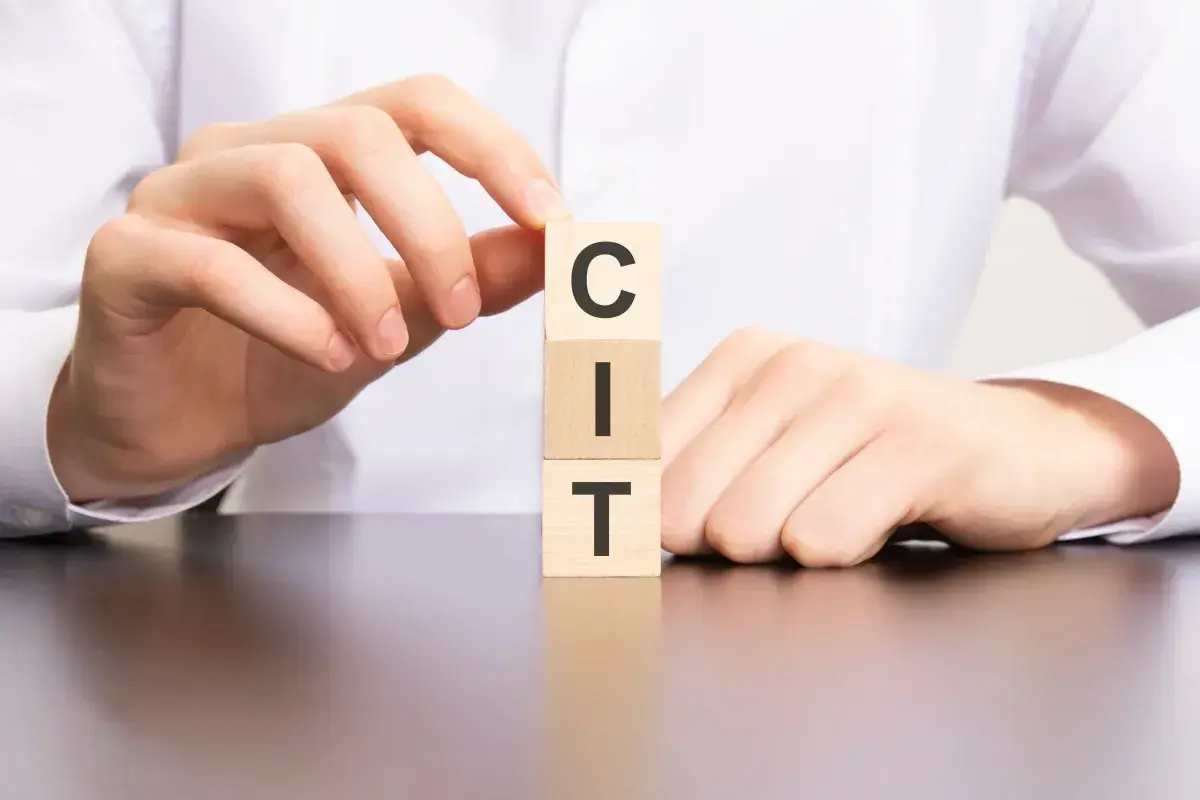 Dłonie układają kostki z literami C, I, T, tworząc słowo "CIT".